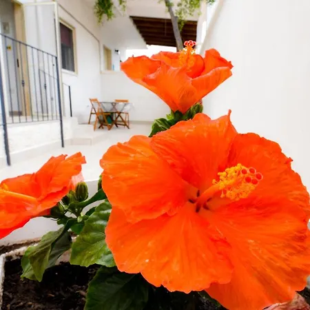 Bed & Breakfast Macchia Mediterranea San Pietro in Bevagna
