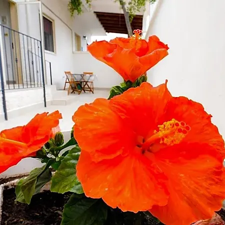 Macchia Mediterranea 3*